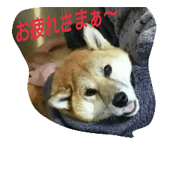 [LINEスタンプ] オイラ、ふくだぞっ！！