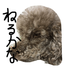 [LINEスタンプ] うちの犬かわいいですか