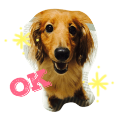 [LINEスタンプ] りく 日常スタンプ