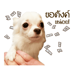 [LINEスタンプ] G.Family