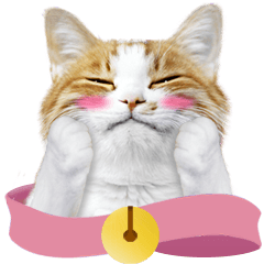 [LINEスタンプ] Cats face