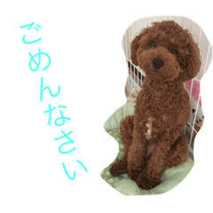 [LINEスタンプ] たくぼん