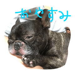 [LINEスタンプ] 大輔の1日