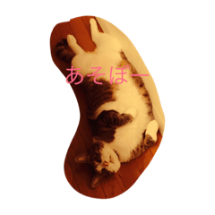 [LINEスタンプ] a warm and comfortable