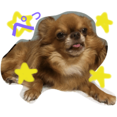 [LINEスタンプ] とのスタンプ4