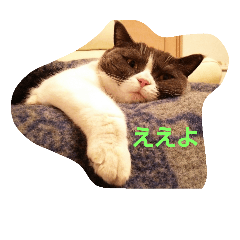 [LINEスタンプ] ととのつぶやき1