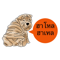 [LINEスタンプ] Shar Pei