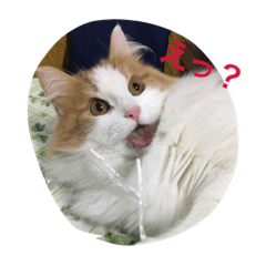 [LINEスタンプ] にゃんたろうくん2