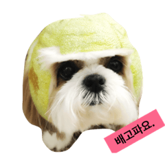 [LINEスタンプ] ポキの日常