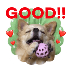 [LINEスタンプ] ミルク＊120％（日常編）