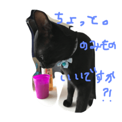 [LINEスタンプ] にゃんもも達