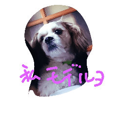 [LINEスタンプ] wanko's3