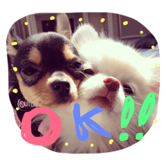 [LINEスタンプ] うたと竹千代