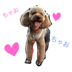 [LINEスタンプ] tsubasan