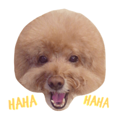 [LINEスタンプ] Queen of beauty MEATBALL