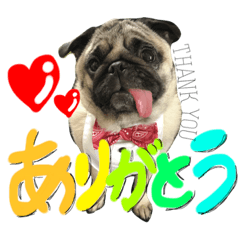 [LINEスタンプ] パグのきなこスタンプ