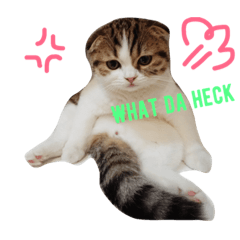 [LINEスタンプ] Jarvis The cat