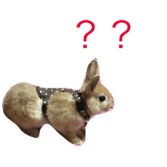 [LINEスタンプ] I am Netherland dwarf