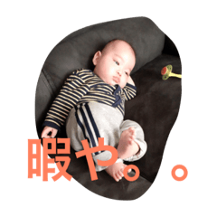 [LINEスタンプ] 龍ちゃんスタンプ