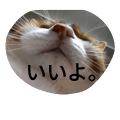 [LINEスタンプ] yoko2