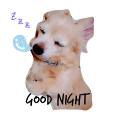 [LINEスタンプ] RoConp