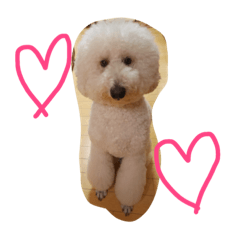 [LINEスタンプ] 愛犬スタンプ♡