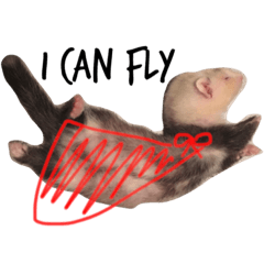 [LINEスタンプ] ferret-hero