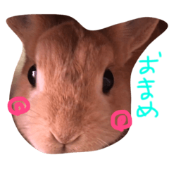 [LINEスタンプ] おまめなスタンプ