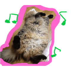 [LINEスタンプ] モコとアイニャンそしてシンバの猫三姉妹