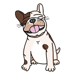 [LINEスタンプ] Tommy - French bulldog