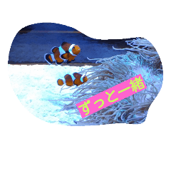 [LINEスタンプ] すきちゅーねん
