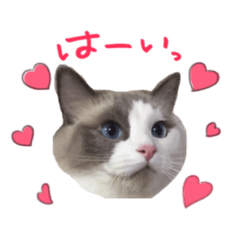 [LINEスタンプ] ふわふわ珠子ちゃん