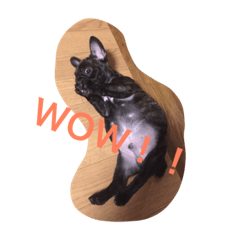 [LINEスタンプ] 戸谷家の犬たち