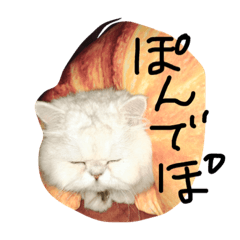 [LINEスタンプ] 吾輩はてんくん14