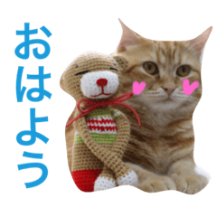[LINEスタンプ] コテツスタンプ1