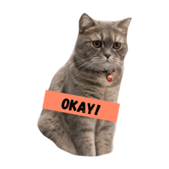 [LINEスタンプ] pepperisagoodboy
