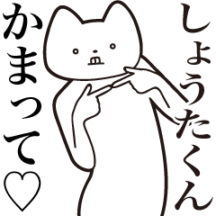 [LINEスタンプ] 【しょうたくん・送る】しゃくれねこ