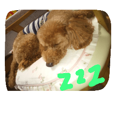 [LINEスタンプ] わたしのこだよ