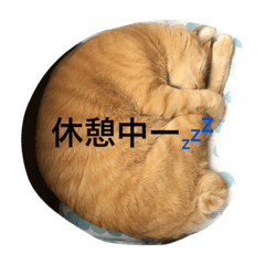 [LINEスタンプ] イクヲと仲間たちその2