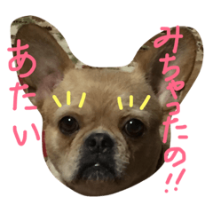 [LINEスタンプ] ワンダフル トマト犬 2