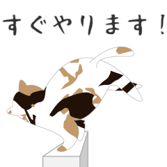 [LINEスタンプ] せねこ 7