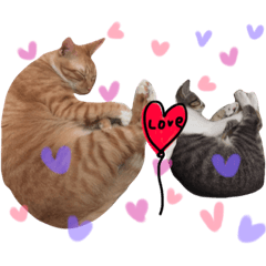 [LINEスタンプ] Diary of cats.Apple with Lumi