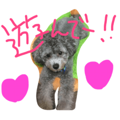 [LINEスタンプ] 今日のかるぼ