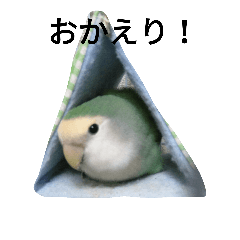 [LINEスタンプ] ぴーちゃんです