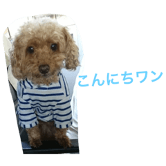 [LINEスタンプ] くるんくるん