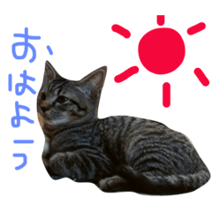 [LINEスタンプ] たけるん2