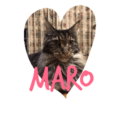 [LINEスタンプ] maro ＆ tono