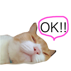 [LINEスタンプ] 一歩ちんスタンプ2