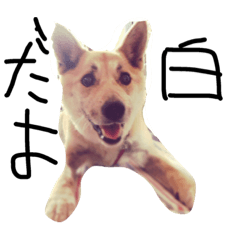 [LINEスタンプ] wwwwwwwwwwwxw
