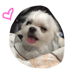 [LINEスタンプ] Life of Baby Ha